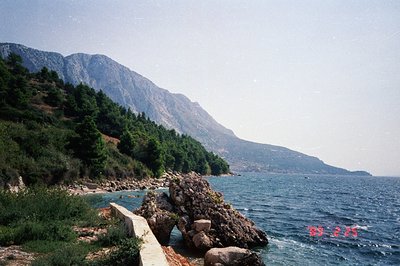 A coastal scene with rocky shoreline, dense pine forest on a steep hillside, and the Adriatic Sea. A concrete retaining wall ...