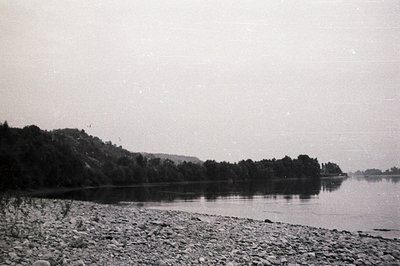 A monochrome, wide shot captures a rocky shoreline bordering a still body of water, likely a lake or calm sea. Lush, densely ...