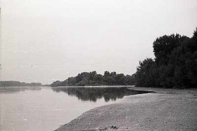 Sandy shoreline meets a calm, expansive body of water reflecting dense foliage on the opposite bank. The monochrome image cap...