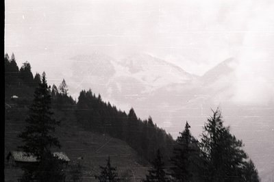 A misty, monochrome landscape features dense evergreen forest dominating the foreground, leading to snow-capped mountains par...