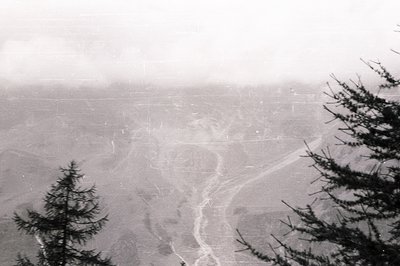 Black and white aerial view showcasing a river valley winding through a densely forested landscape. Coniferous trees frame th...