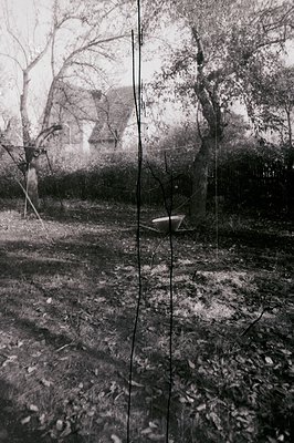 A weathered, monochrome image captures a rural scene, likely a garden or orchard. A rusty wheelbarrow sits centrally, amidst ...