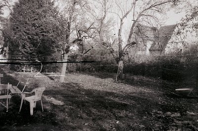 A wide, overgrown yard features scattered furniture – chairs and a small table – alongside a detached, gable-roofed house wit...