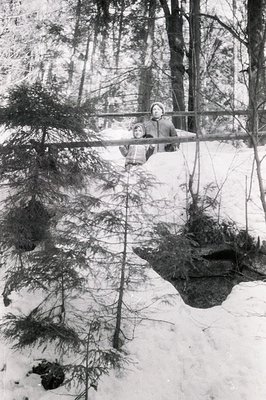 A young child in a hooded coat sits atop a snowdrift, partially obscured by evergreen branches, in a wooded, snowy landscape....