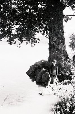 A young woman sits poised on a rocky shoreline next to a large tree. The landscape shows water, foliage, and a bright sky. Th...