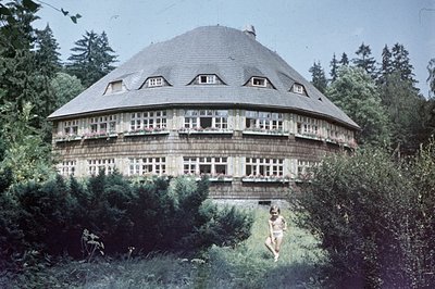 Circular chalet features extensive window detailing & a steeply pitched roof, nestled amongst dense coniferous trees. A child...