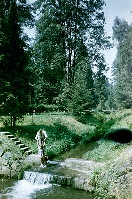 A woman in a floral dress stands in a terraced, man-made stream with small waterfalls. Lush greenery and pine trees frame the...