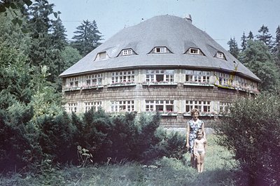 Unique, rounded timber-framed house with panoramic windows and a distinctive domed roof, surrounded by dense evergreen foliag...