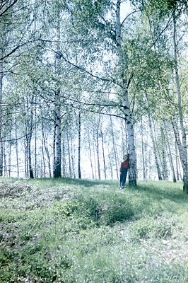 A young figure in a red shirt stands near a birch tree on a grassy hillside. The scene depicts a lush, green environment with...