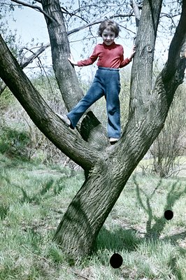 A young boy, wearing a red sweater and flared jeans, balances on a tree branch. The photo showcases a playful moment in a nat...
