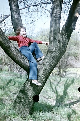 A young girl playfully perched on a sturdy tree branch, exhibiting a carefree and energetic pose. She wears a red sweater, bl...