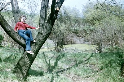 A young girl sits perched on a tree branch, wearing a red sweater and blue jeans. Lush green foliage and a small pond are vis...
