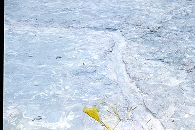 A close-up photograph reveals a textured, light-blue surface, possibly weathered concrete or stone. A prominent, shallow groo...