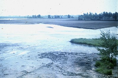 Expansive, muddy riverbed with sparse vegetation along the bank. Distant trees line the horizon; a flooded field stretches ou...