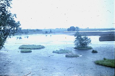 Floodwater inundates agricultural fields, with vegetation islands rising above the surface. The landscape appears flat, exten...
