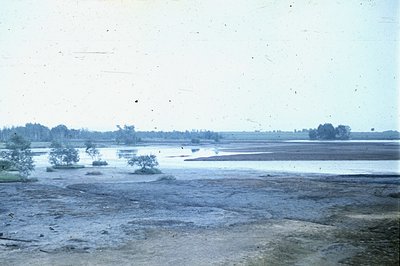 A wide, low-lying landscape features a shallow, slow-moving body of water separating a muddy foreground from a distant treeli...