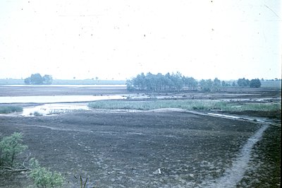 A view of a flooded, marshy landscape. A narrow, dirt path leads toward a small island of trees and low vegetation amid stand...