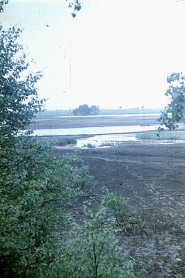 A wide, shallow body of water reflects a distant treeline, framed by foliage in the foreground. The landscape appears flat, w...