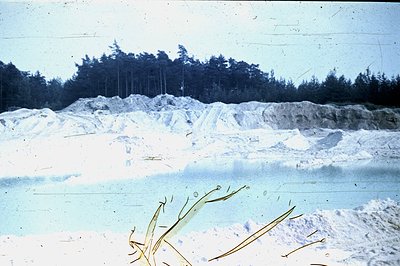 A stark landscape featuring a quarry face, likely limestone or chalk, rises against a backdrop of pine forest. Shallow, turqu...