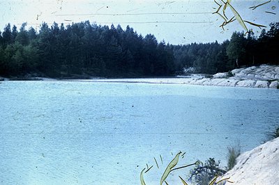 Serene lakeside scene with still water reflecting a dense evergreen forest. Rocky shoreline leads to a distant, forested hill...