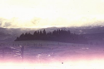 A misty landscape features a weathered wooden fence bordering a snow-covered field. Dense conifer forest dominates midground,...