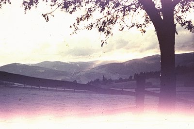 A color landscape shows a grassy field leading to a range of distant, hazy mountains under a cloudy, pinkish-purple sky. A tr...