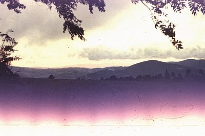 A view of layered hills and distant mountains under a diffused, pastel sky. Tree branches frame the upper portion of the imag...
