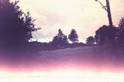 A color landscape photograph shows a sloping field with dense, silhouetted trees against a vibrant, heavily-toned pink and pu...