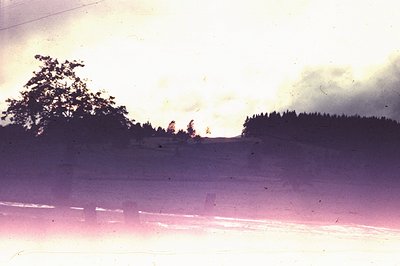 A hazy, vintage color photograph captures a sunset over a landscape with silhouetted trees and foliage. A weathered fence lin...