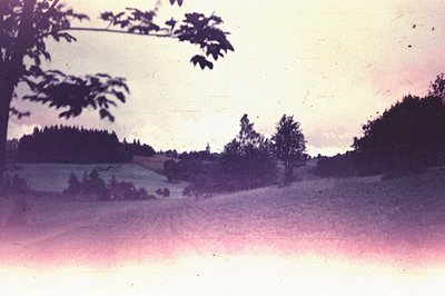 Atmospheric landscape photograph featuring rolling hills and a distant town, likely Europe. A tree branch frames the view. Sh...