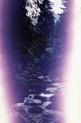 A cascading stream flows over rocks, framed by dense pine trees. The image displays a strong purple/magenta color cast, sugge...