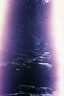 A stylized photograph shows a landscape featuring a body of water, likely the sea or a lake, bordered by a dense, dark conife...