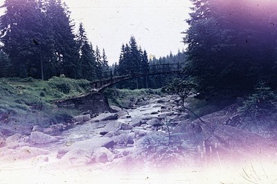 A rushing stream cascades over rocks in a forested ravine. A weathered stone and metal bridge spans the waterway. Dense pine ...