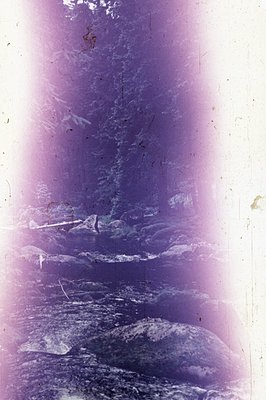 A surreal, heavily color-shifted landscape shows a dark, rocky riverbed and dense, blurred trees. The purple/blue tone sugges...
