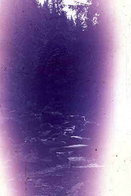 A blurred, monochromatic photograph shows a steep set of stone steps ascending through a wooded area. The scene is rendered i...