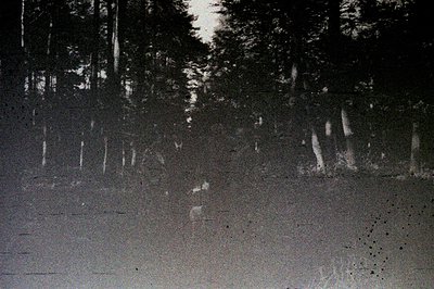 Monochrome image shows a dense treeline transitioning to a cloudy sky. Grainy texture suggests film photography, potentially ...