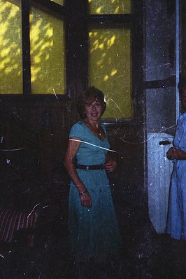 A woman in a teal-blue, belted dress stands partially illuminated by light from a window. Interior scene shows dated wall pan...