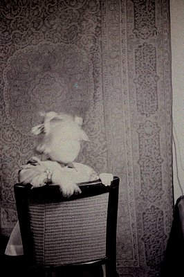 A whimsical black-and-white image captures a stuffed animal seated atop a wicker chair. The toy, appearing to be a rabbit or ...
