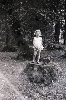 A young girl stands on a tree stump in a wooded area. She wears a simple dress, dark Mary Jane shoes, and her hair is styled ...