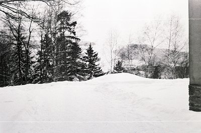 A stark black and white photograph captures a snow-covered landscape viewed from an interior space, likely a building. Evergr...