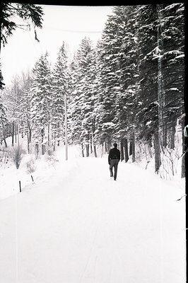 A solitary figure walks away from the camera along a snow-covered path, framed by dense evergreen trees. The monochrome image...