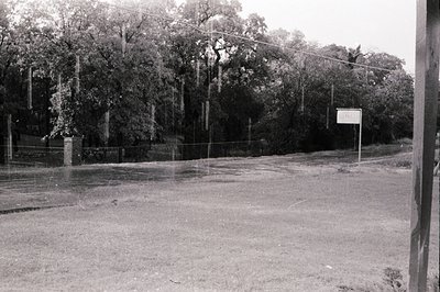 Mid-20th century rural roadside scene with barbed wire fence and dense foliage. Empty paved road curves into distance, border...
