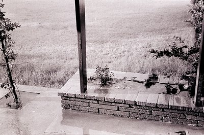 Black-and-white mid-century outdoor scene featuring a concrete staircase flanked by brick walls, leading to a grassy hillside...