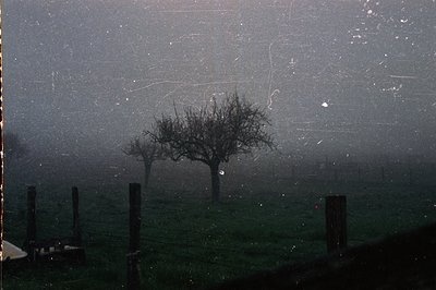 Vintage monochrome photo of leafless trees in dense fog, framed by a window or glass barrier. The scene suggests a rural or p...