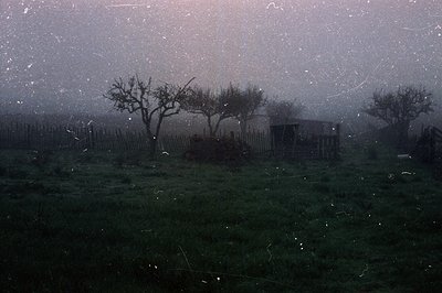 Snowfall obscures a rural landscape with bare trees and a wooden shed behind a weathered fence. Moody, atmospheric lighting e...