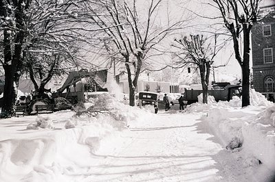 Snow-covered urban street with heavy winter clearance. Bulldozer clearing snow from sidewalk, exposing tree roots. Classic mi...