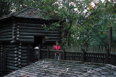 Log cabin with weathered wooden logs and slate roof, surrounded by wooden fencing. A person in a red jacket poses near the en...