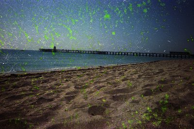 Long wooden pier extending into a misty seaside horizon, with sand dunes and sparse vegetation in foreground. Green-tinted at...