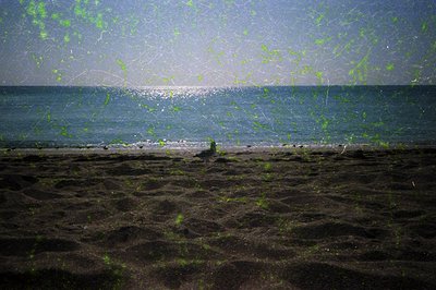 Sunlit waves crash onto a textured, sun-bleached beach with sparse green vegetation. The horizon merges with a hazy sky, crea...