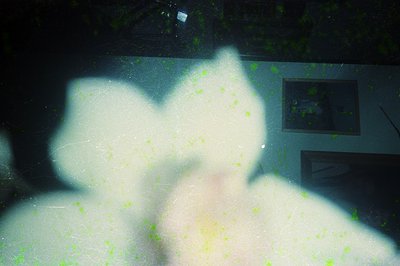 Reflection of a blurred, translucent heart shape on a rain-streaked window. Indoor scene with faint outlines of a framed pict...